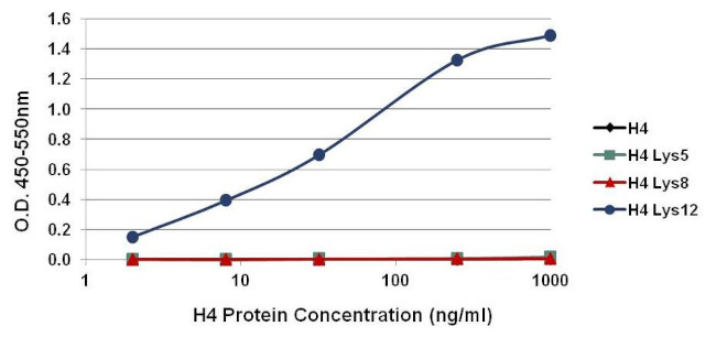 H4K12ac Antibody in ELISA (ELISA)