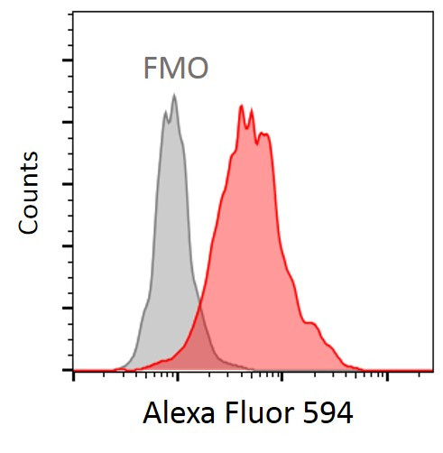 Acetyl-alpha Tubulin (Lys40) Antibody in Flow Cytometry (Flow)