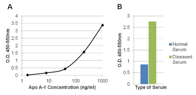 ApoA1 Antibody in ELISA (ELISA)