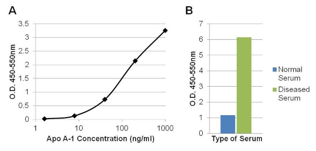 ApoA1 Antibody in ELISA (ELISA)