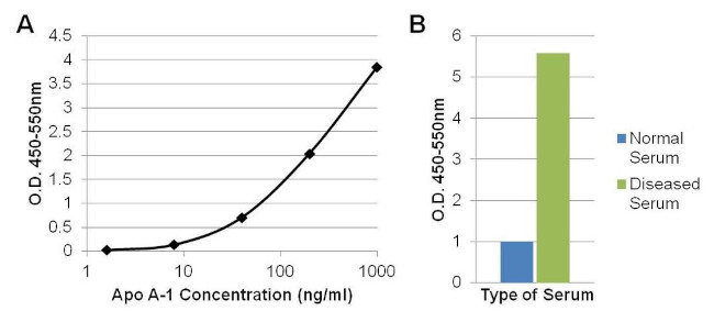 ApoA1 Antibody in ELISA (ELISA)