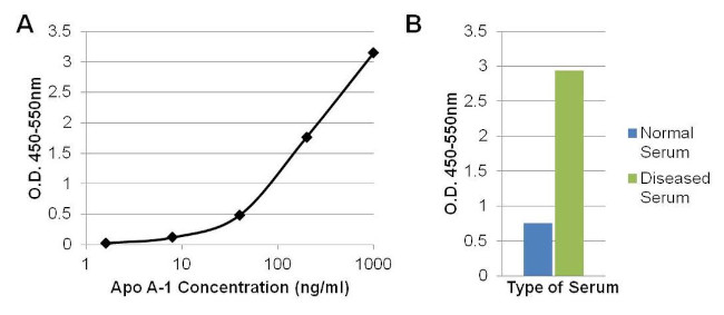 ApoA1 Antibody in ELISA (ELISA)