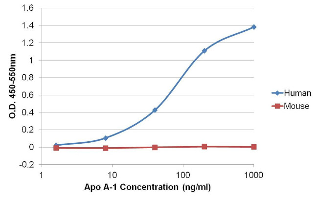 ApoA1 Antibody in ELISA (ELISA)