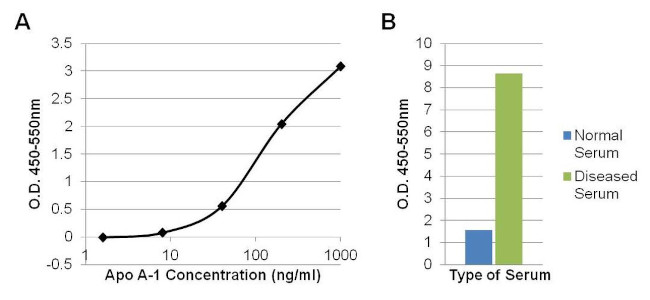 ApoA1 Antibody in ELISA (ELISA)