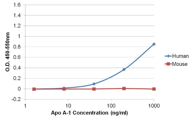 ApoA1 Antibody in ELISA (ELISA)