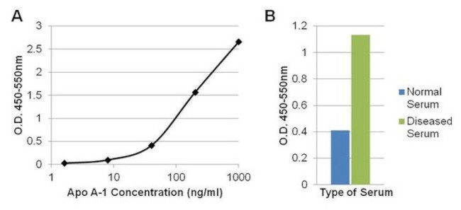 ApoA1 Antibody