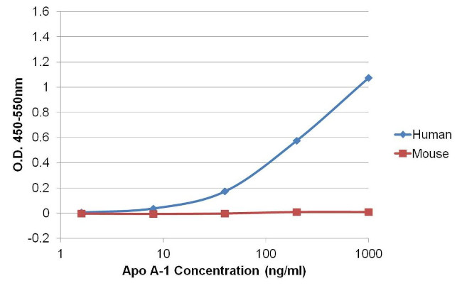 ApoA1 Antibody in ELISA (ELISA)