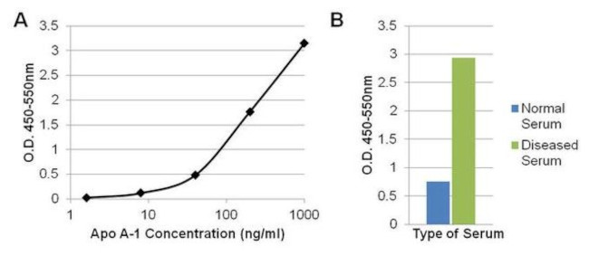 ApoA1 Antibody