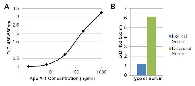 ApoA1 Antibody in ELISA (ELISA)