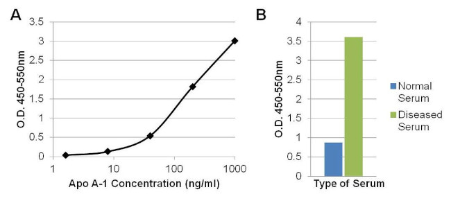 ApoA1 Antibody in ELISA (ELISA)