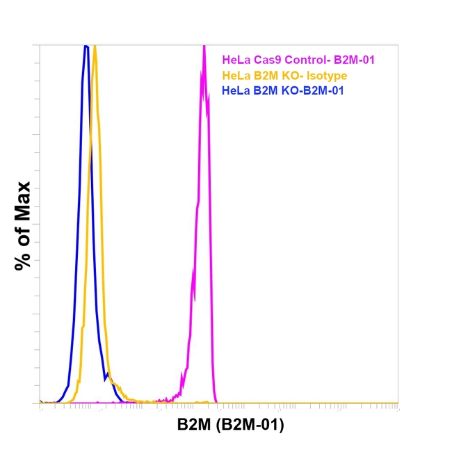 beta-2 Microglobulin Antibody