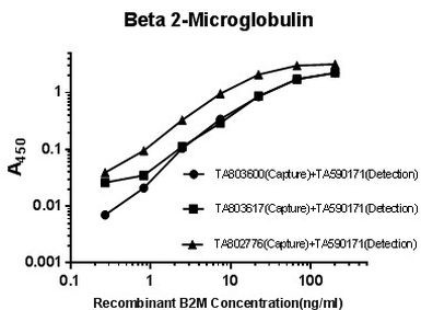 B2M Antibody in ELISA (ELISA)