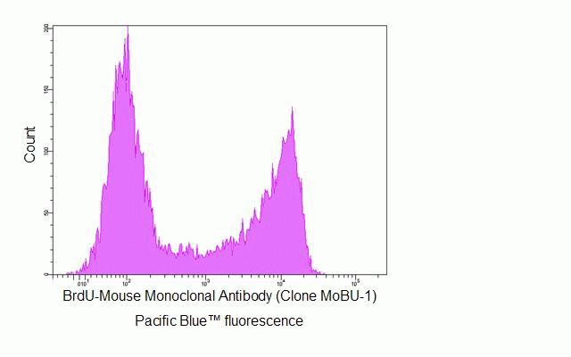 BrdU Antibody in Flow Cytometry (Flow)