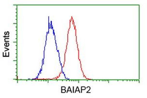 BAIAP2 Antibody in Flow Cytometry (Flow)