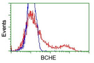 BCHE Antibody in Flow Cytometry (Flow)