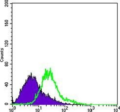 Bcl-10 Antibody in Flow Cytometry (Flow)