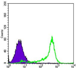 Bcl-2 Antibody in Flow Cytometry (Flow)