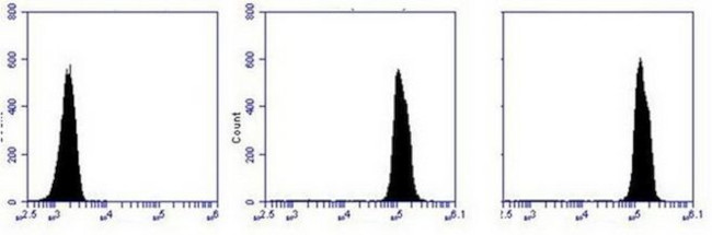 BCL10 Antibody in Flow Cytometry (Flow)