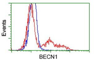 BECN1 Antibody in Flow Cytometry (Flow)