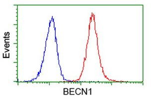 BECN1 Antibody in Flow Cytometry (Flow)