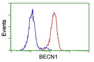 BECN1 Antibody in Flow Cytometry (Flow)