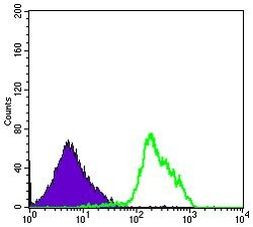 Beclin 1 Antibody in Flow Cytometry (Flow)