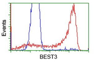 BEST3 Antibody in Flow Cytometry (Flow)