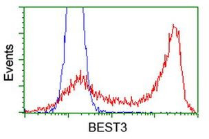 BEST3 Antibody in Flow Cytometry (Flow)