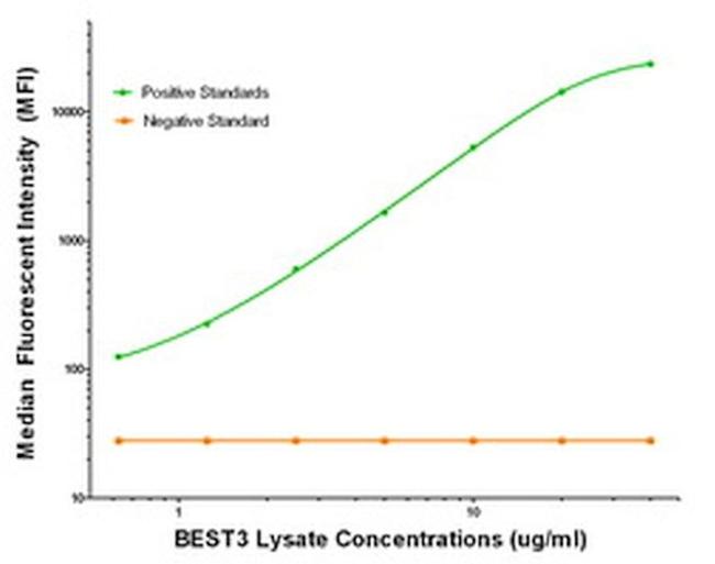 BEST3 Antibody in Luminex (LUM)