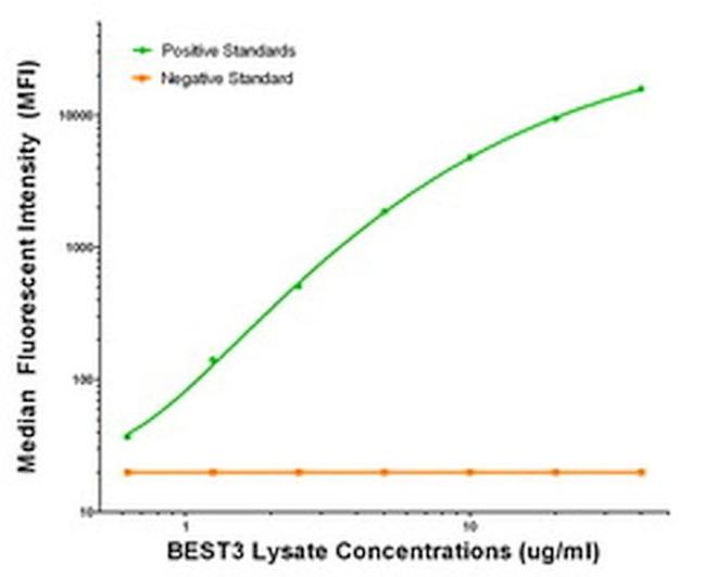 BEST3 Antibody in Luminex (LUM)