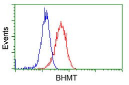 BHMT Antibody in Flow Cytometry (Flow)