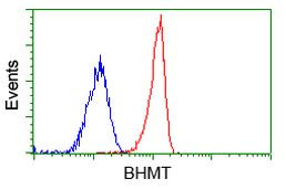 BHMT Antibody in Flow Cytometry (Flow)