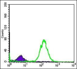 BID Antibody in Flow Cytometry (Flow)