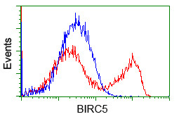 BIRC5/Survivin Antibody in Flow Cytometry (Flow)