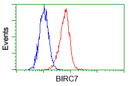 BIRC7 Antibody in Flow Cytometry (Flow)