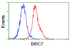 BIRC7 Antibody in Flow Cytometry (Flow)