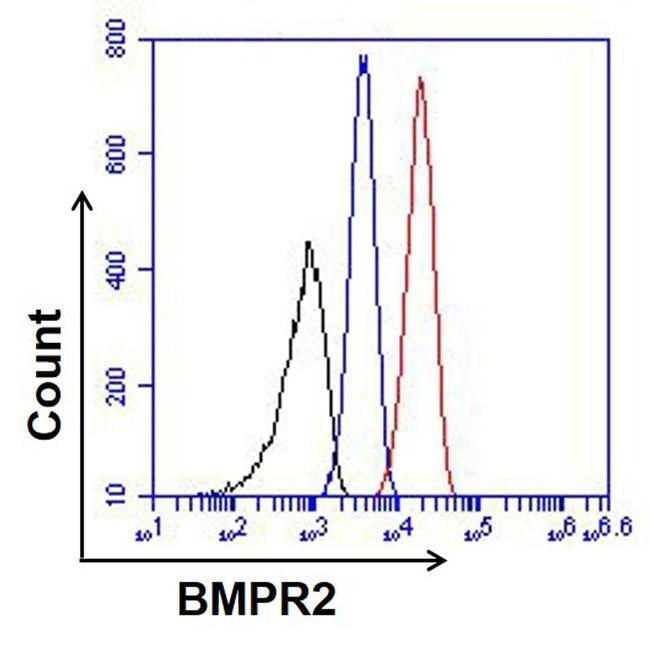 BMPR2 Antibody in Flow Cytometry (Flow)