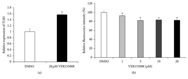 TLR5 Antibody in Flow Cytometry (Flow)