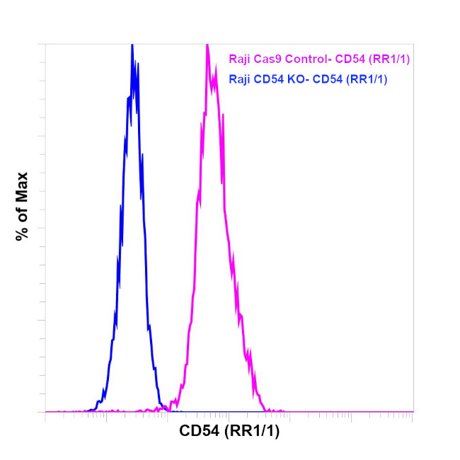 CD54 (ICAM-1) Antibody