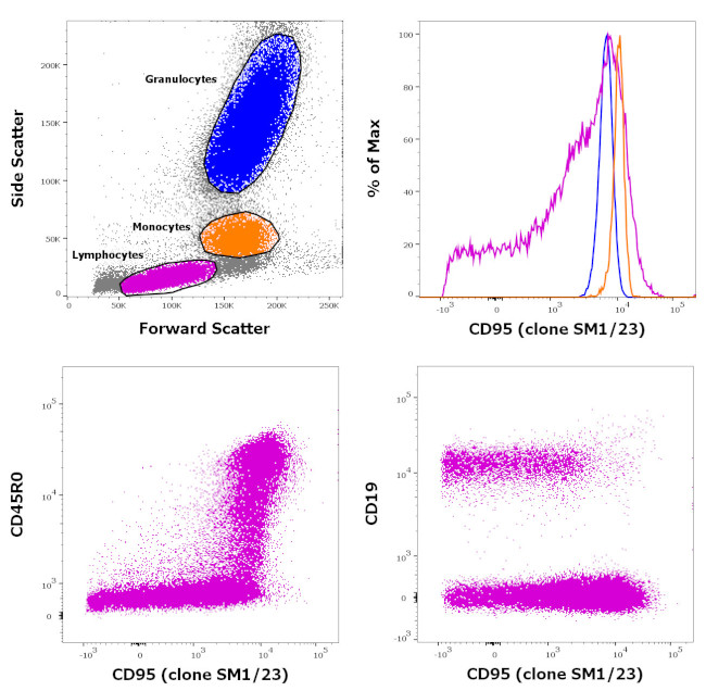 CD95 (APO-1/Fas) Antibody in Flow Cytometry (Flow)