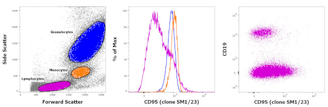 CD95 (APO-1/Fas) Antibody in Flow Cytometry (Flow)