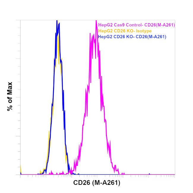 CD26 Antibody