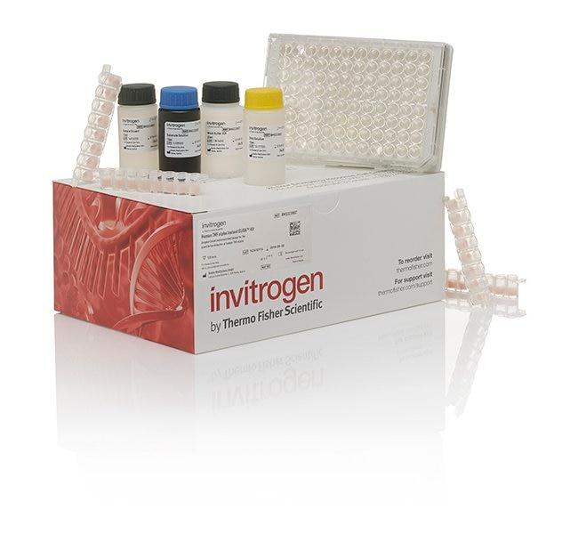 Human CD44v5 (Soluble) Instant ELISA™ Kit (BMS220INST)