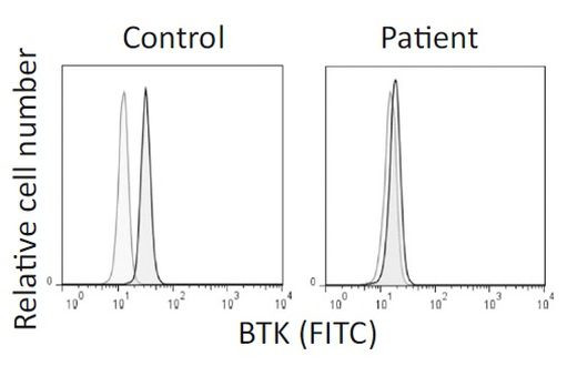 BTK Antibody in Flow Cytometry (Flow)