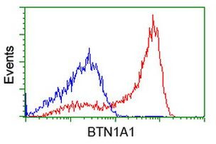 BTN1A1 Antibody in Flow Cytometry (Flow)