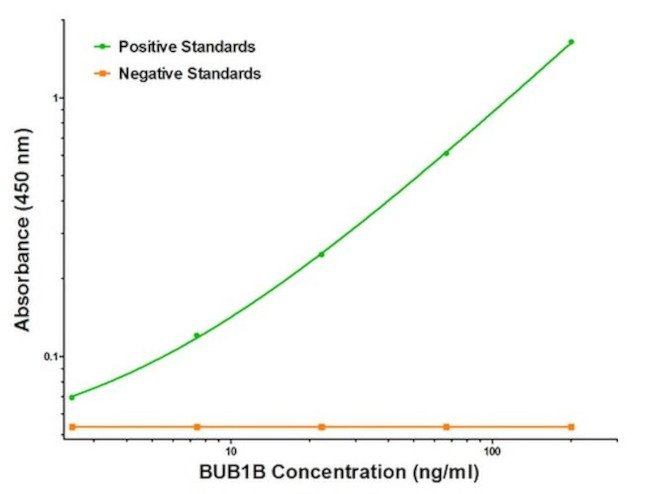 BUB1B Antibody in ELISA (ELISA)