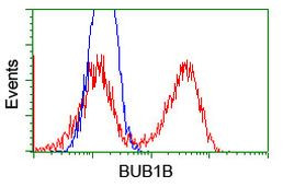 BUB1B Antibody in Flow Cytometry (Flow)