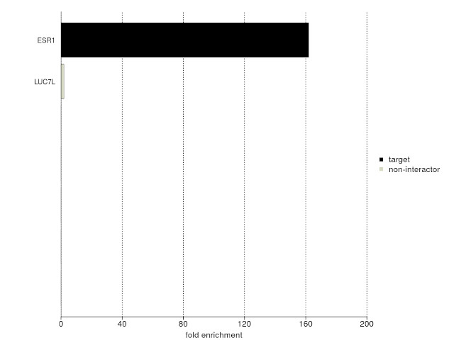 Estrogen Receptor alpha Antibody