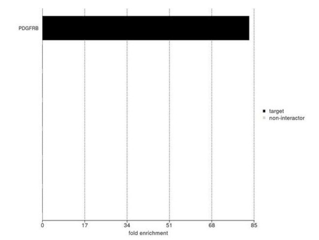 PDGFRB Antibody