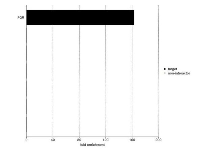 Progesterone Receptor Antibody